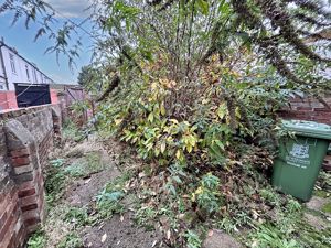 Photo 6- click for photo gallery